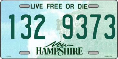 NH license plate 1329373