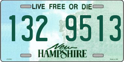NH license plate 1329513