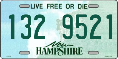 NH license plate 1329521