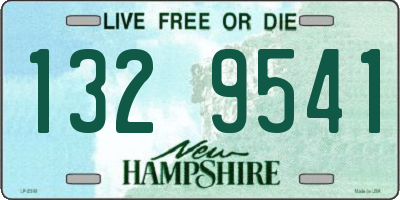 NH license plate 1329541