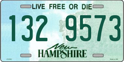 NH license plate 1329573