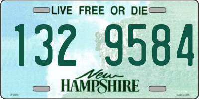 NH license plate 1329584