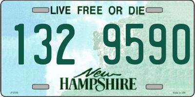 NH license plate 1329590