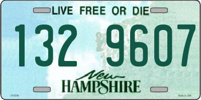 NH license plate 1329607