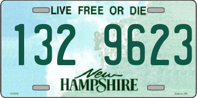NH license plate 1329623