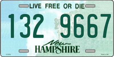 NH license plate 1329667