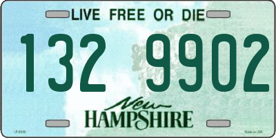 NH license plate 1329902