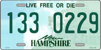 NH license plate 1330229
