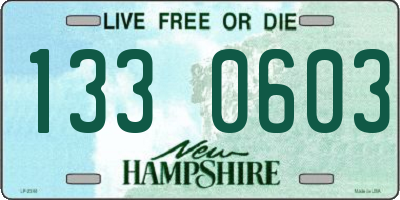 NH license plate 1330603