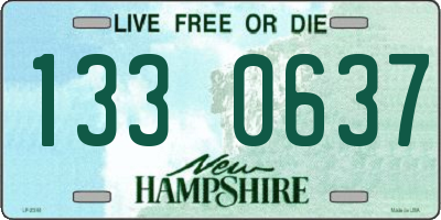 NH license plate 1330637