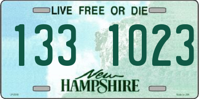 NH license plate 1331023