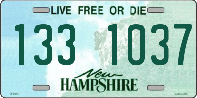 NH license plate 1331037
