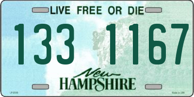 NH license plate 1331167