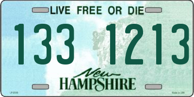 NH license plate 1331213