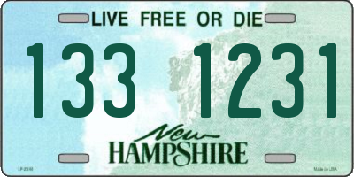 NH license plate 1331231
