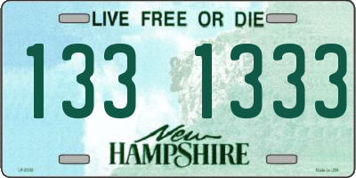 NH license plate 1331333