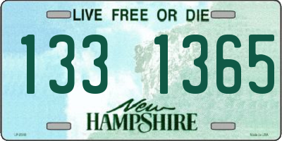NH license plate 1331365