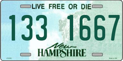 NH license plate 1331667