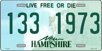 NH license plate 1331973
