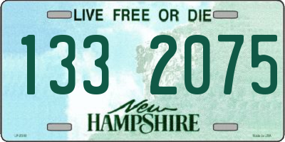 NH license plate 1332075