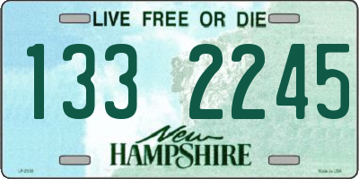 NH license plate 1332245