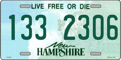 NH license plate 1332306