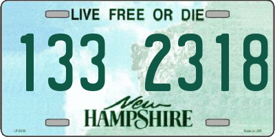 NH license plate 1332318