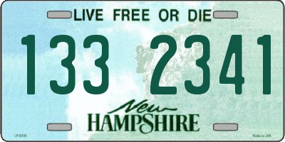 NH license plate 1332341