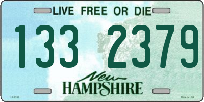 NH license plate 1332379