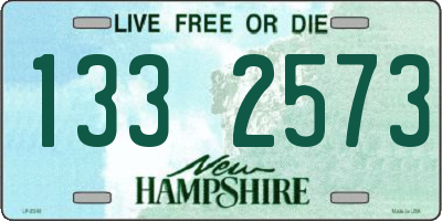 NH license plate 1332573