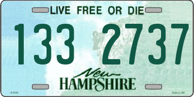 NH license plate 1332737