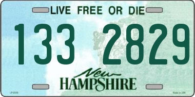 NH license plate 1332829