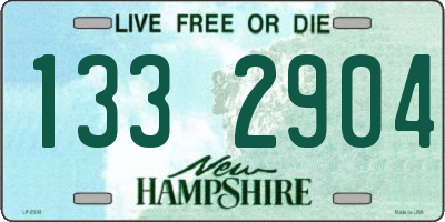 NH license plate 1332904