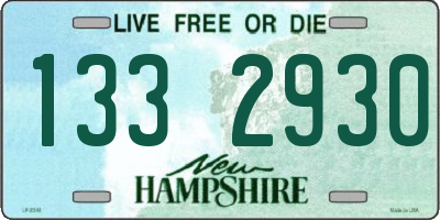 NH license plate 1332930