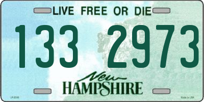NH license plate 1332973