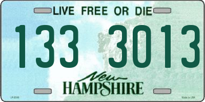 NH license plate 1333013