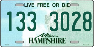 NH license plate 1333028