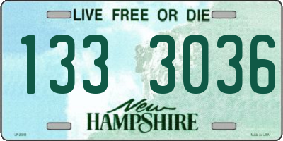 NH license plate 1333036