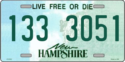 NH license plate 1333051