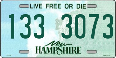 NH license plate 1333073