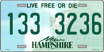 NH license plate 1333236