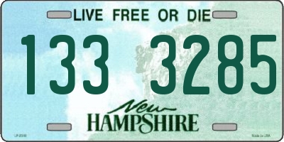 NH license plate 1333285