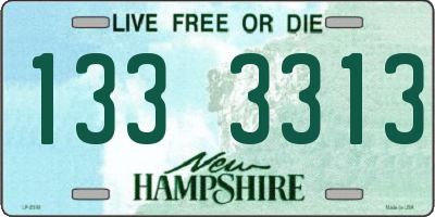 NH license plate 1333313