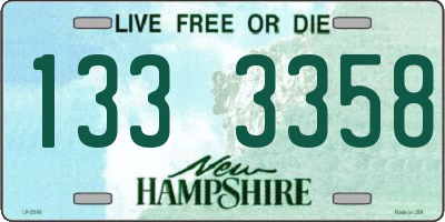NH license plate 1333358