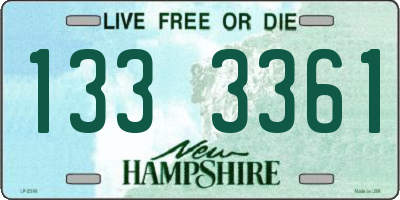 NH license plate 1333361
