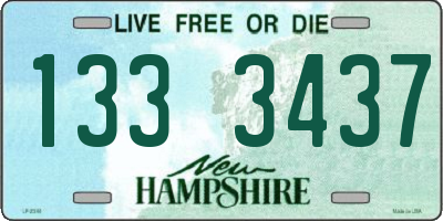 NH license plate 1333437