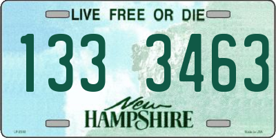 NH license plate 1333463