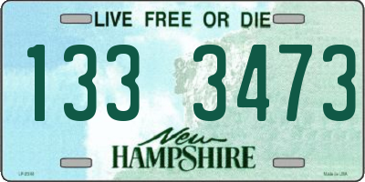NH license plate 1333473