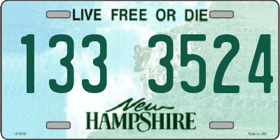 NH license plate 1333524