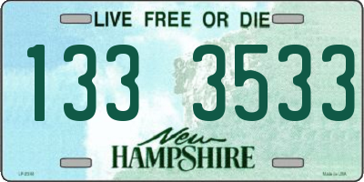 NH license plate 1333533